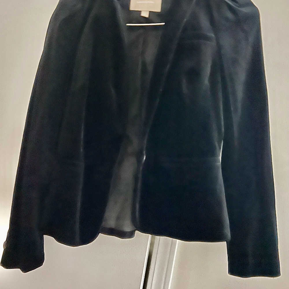 Velvet Puff Sleeve Blazer